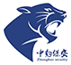 东莞中豹保安服务有限公司